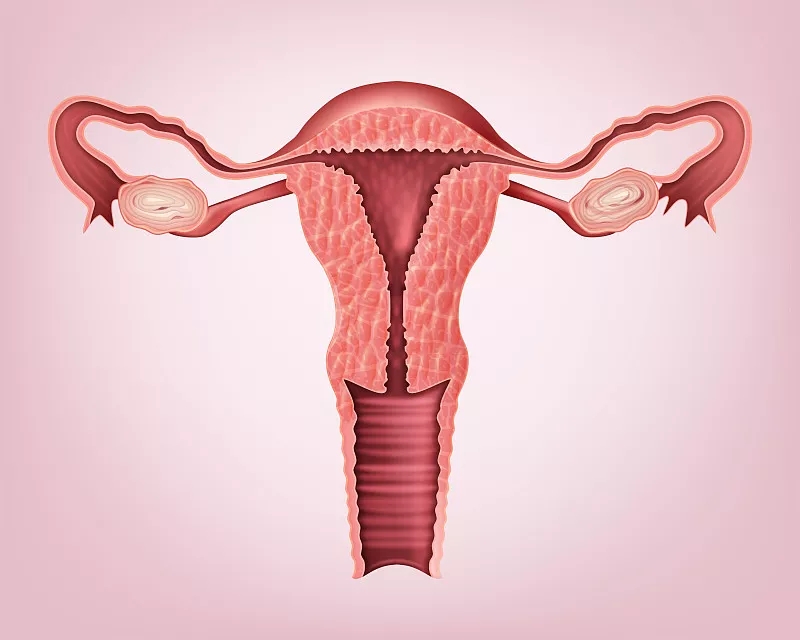 廣州醫科大學第三附屬醫院：干細胞移植治療卵巢早衰的臨床分析