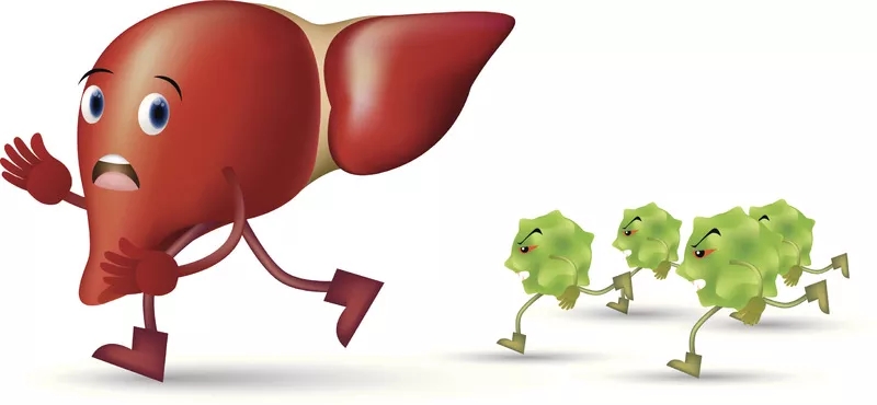 臍帶間充質(zhì)干細胞治療肝病的應用 臍帶間充質(zhì)干細胞治療肝病的應用