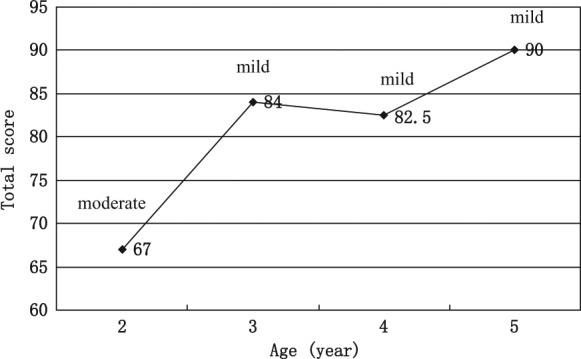 圖4：綜合功能評價總分。