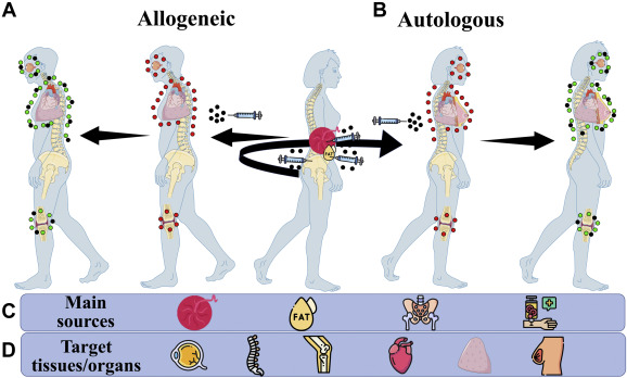 圖1:用藥用信號(hào)細(xì)胞 (MSC) 治療 圖1:用藥用信號(hào)細(xì)胞 (MSC) 治療