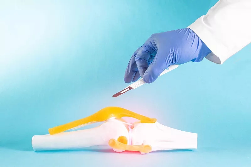 間充質干細胞在人類半月板修復中的潛在用途:當前見解