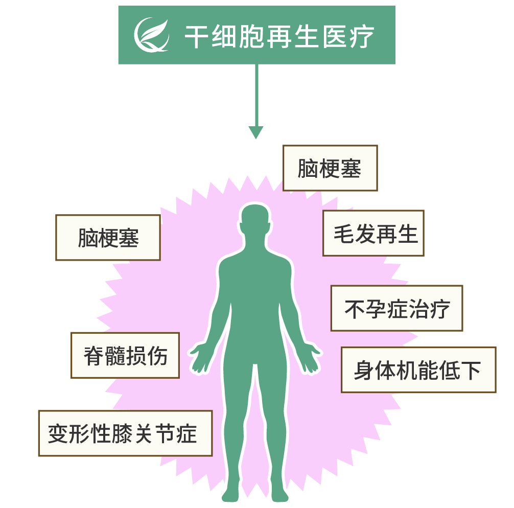 干細胞可以治療哪些疾??？