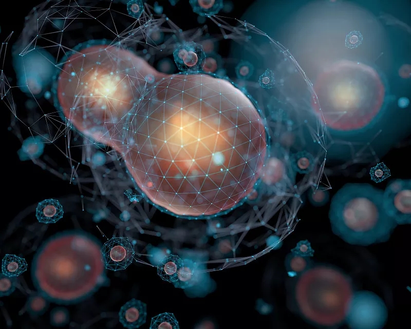 為什么對(duì)干細(xì)胞有爭(zhēng)議？