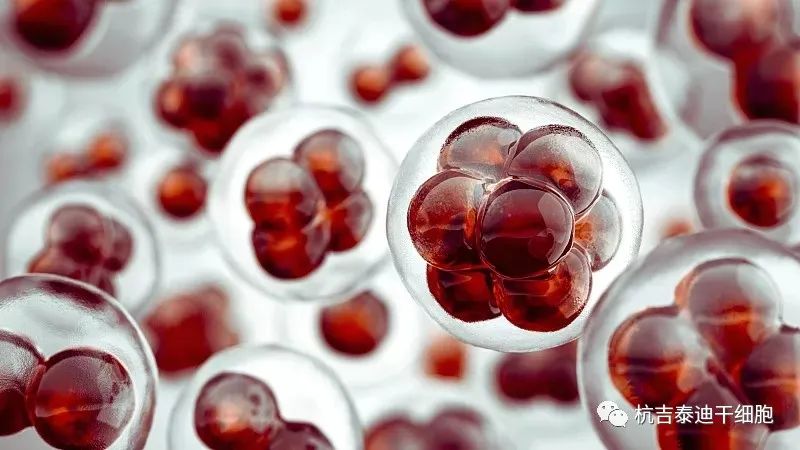 手足徐動性腦癱的最新治療方法是什么? 手足徐動性腦癱的最新治療方法是什么?