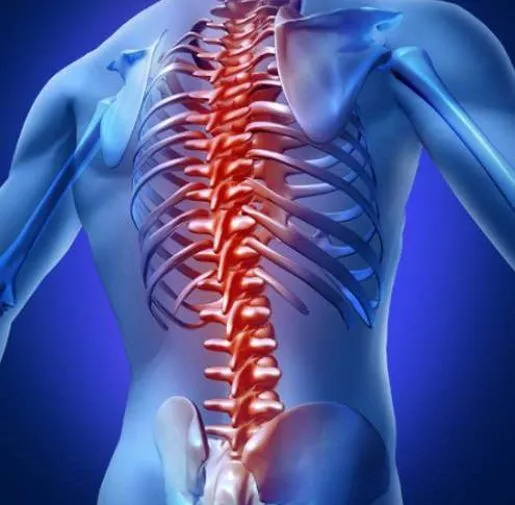 什么是脊髓損傷？