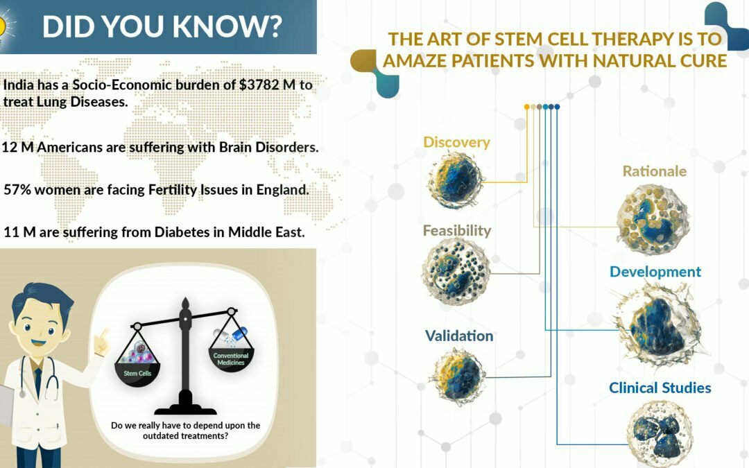 干細(xì)胞的治療用途 干細(xì)胞的治療用途