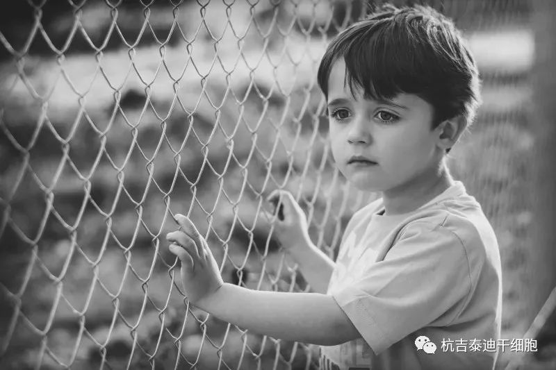 贛南醫科大學：干細胞治療自閉癥兒童的療效和安全性分析