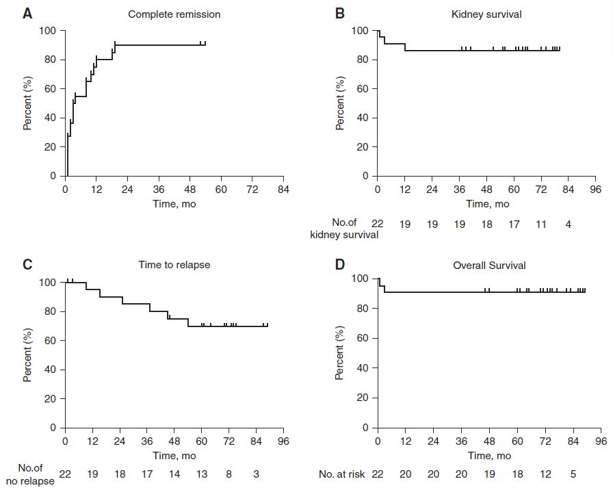 圖4：隊列中患者的完全緩解概率、腎臟存活率、復發(fā)時間和總體存活率。