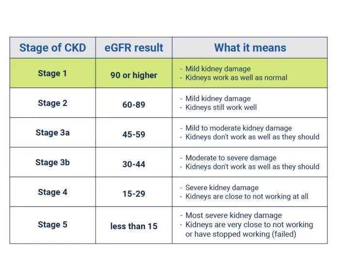 了解有關慢性腎病各個階段的更多信息