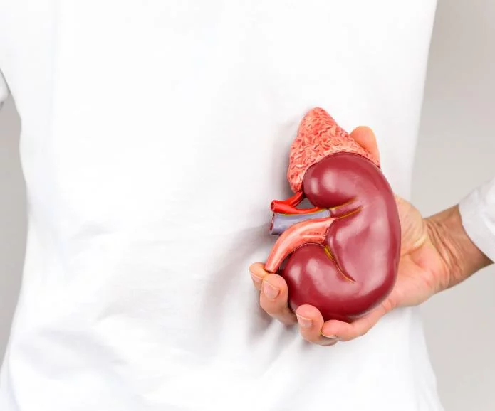 慢性腎臟病的第一階段：原因、癥狀和治療