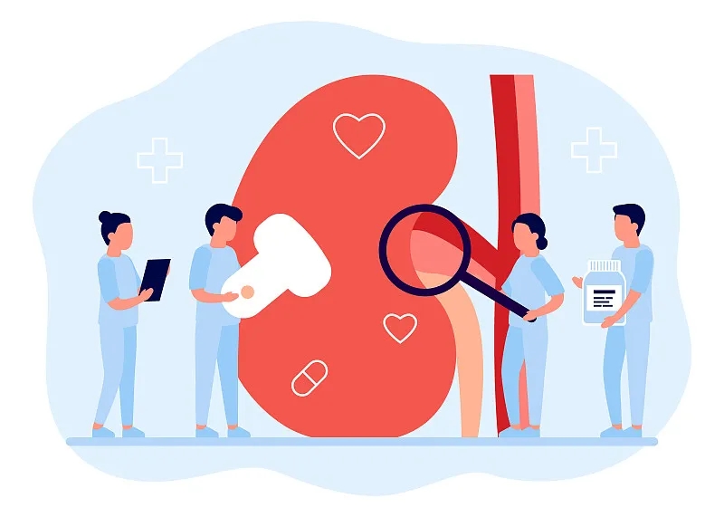 一篇文章帶你了解糖尿病腎病 一篇文章帶你了解糖尿病腎病