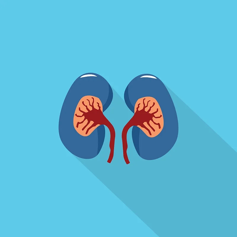 干細胞療法對狼瘡性腎炎和系統性紅斑狼瘡腎功能的療效