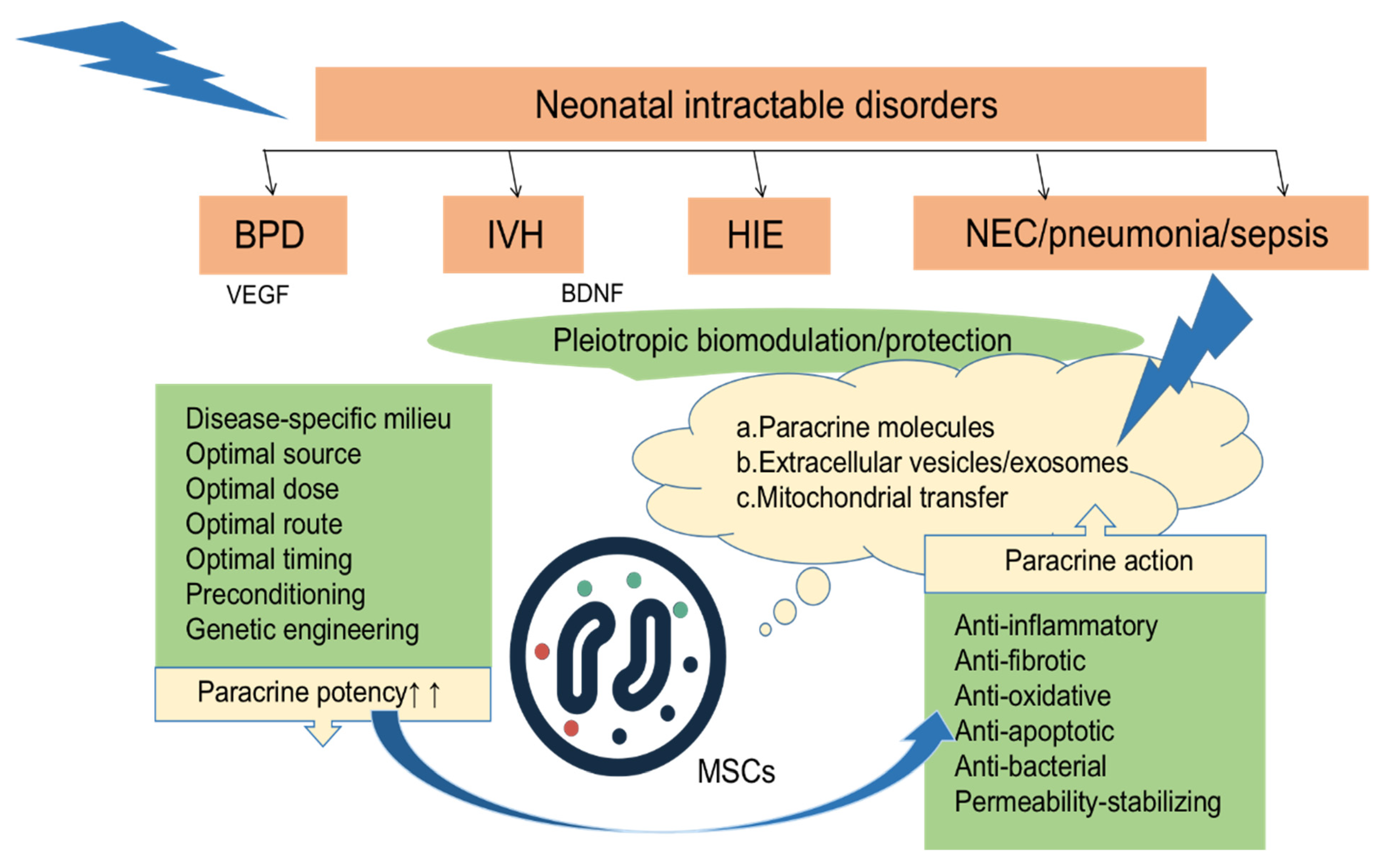 圖2：MSCs局部或全身移植到各種組織損傷部位后，通過分泌多種因子發揮抗炎、抗纖維化、抗氧化、抗凋亡、抗菌、穩定通透性等旁分泌作用。