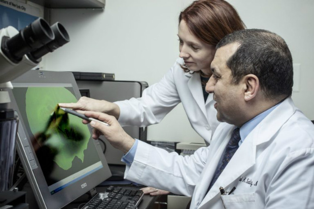 干細(xì)胞治療疾病 | 細(xì)胞療法是人類健康的未來的原因 干細(xì)胞治療疾病 | 細(xì)胞療法是人類健康的未來的原因