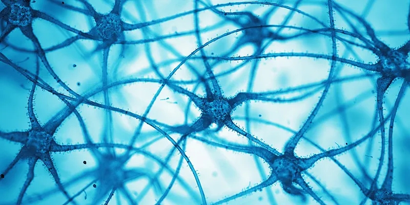 什么是神經細胞？為什么它們很重要？