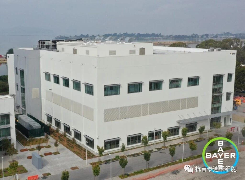 投資2.5億美元！拜耳新建細胞治療工廠，推進細胞療法生產！