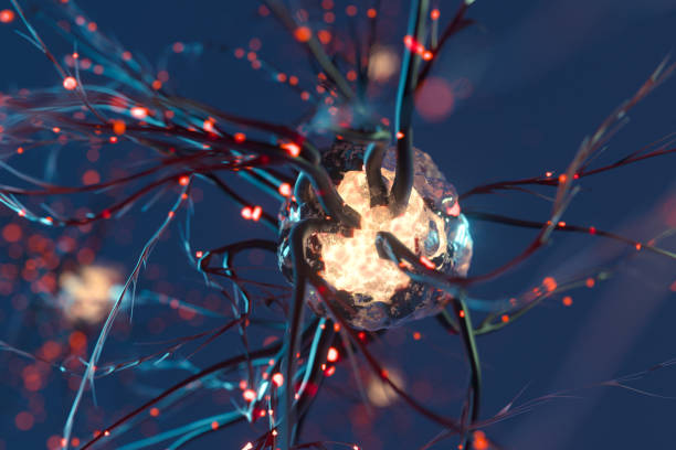 神經干細胞移植治療原發(fā)性扭轉肌張力障礙：一例報告