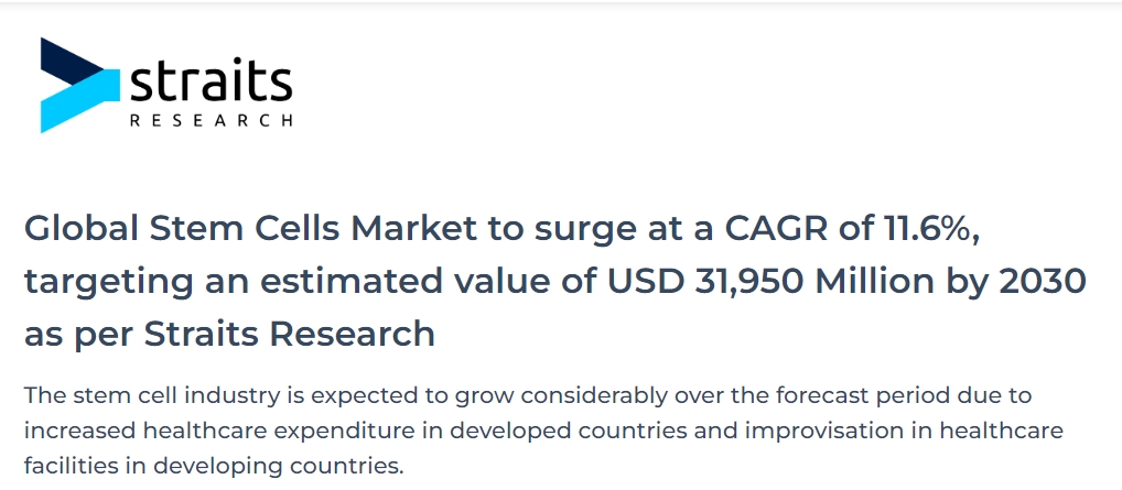 全球干細胞市場復合年增長率將達到11.6%，預計到2030年價值將達到319.5億美元