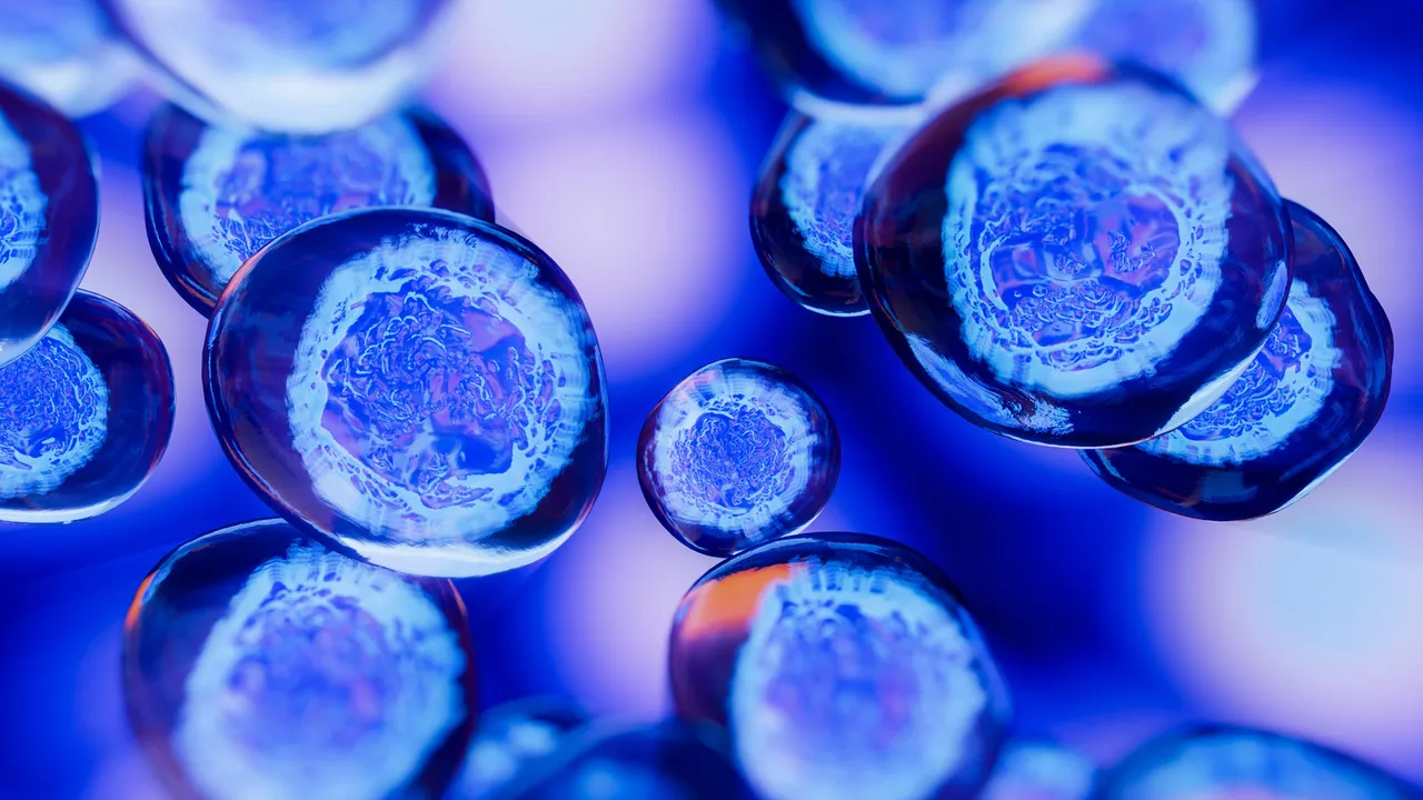 什么是細(xì)胞療法簡(jiǎn)介 什么是細(xì)胞療法簡(jiǎn)介