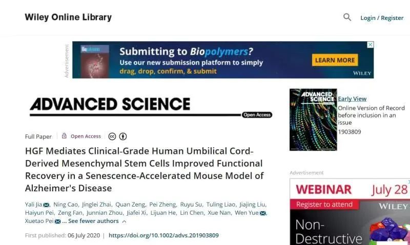 HGF介導臨床級人臍帶間充質干細胞改善功能恢復在衰老加速的阿爾茨海默病小鼠模型中