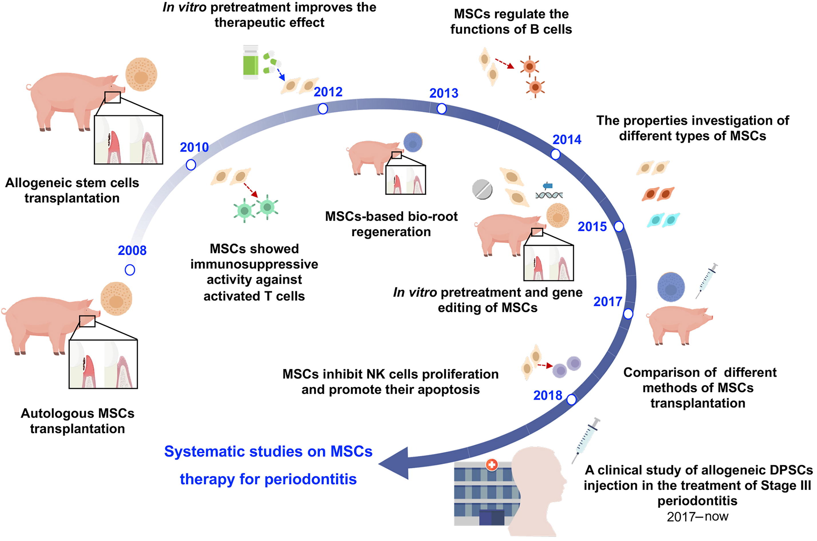 圖1：中國開發治療牙周炎的間充質干細胞藥物示意圖