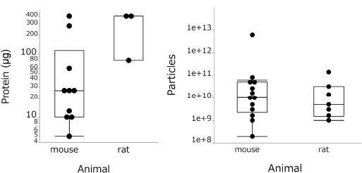 圖2：不同劑量的鼻內給藥外泌體