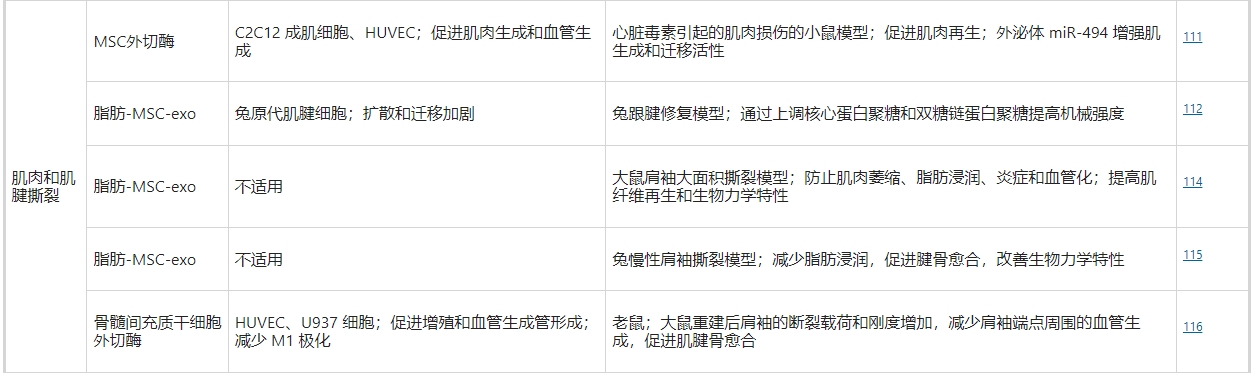 干細胞外泌體治療肌肉和肌腱撕裂