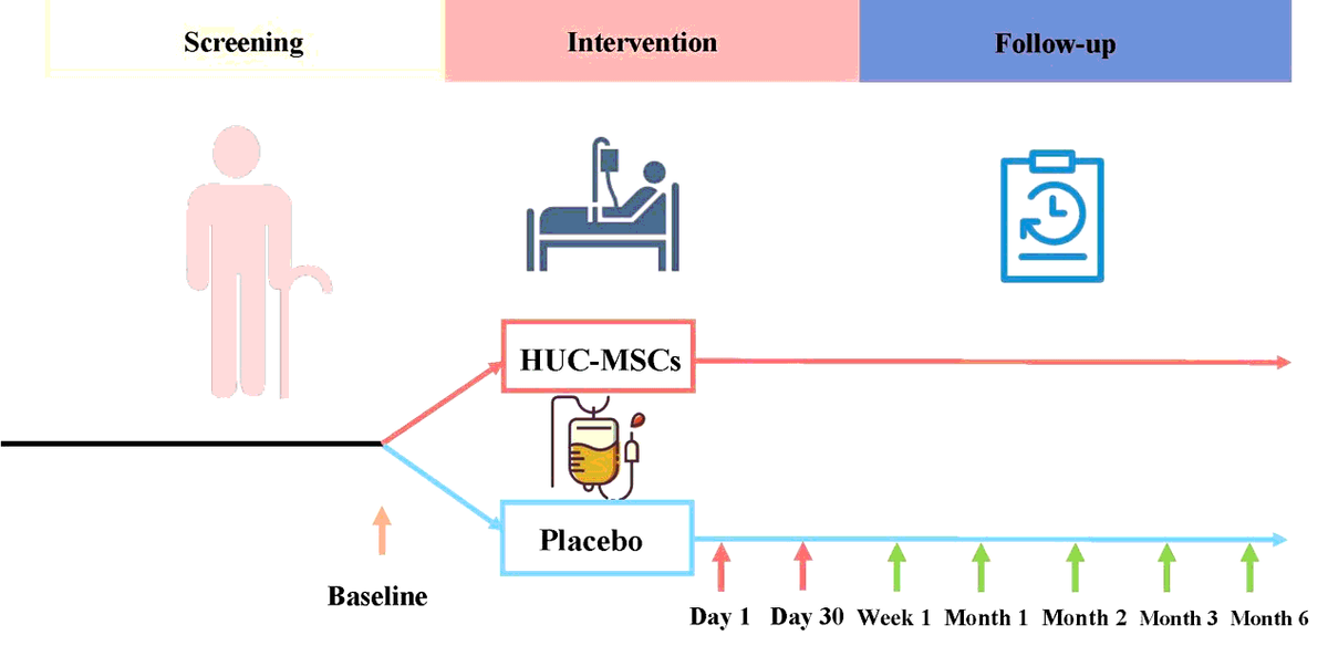 圖1:所有評(píng)估均在首次靜脈輸注HUC-MSC后1周、1、2、3和6個(gè)月時(shí)進(jìn)行 圖1:所有評(píng)估均在首次靜脈輸注HUC-MSC后1周、1、2、3和6個(gè)月時(shí)進(jìn)行