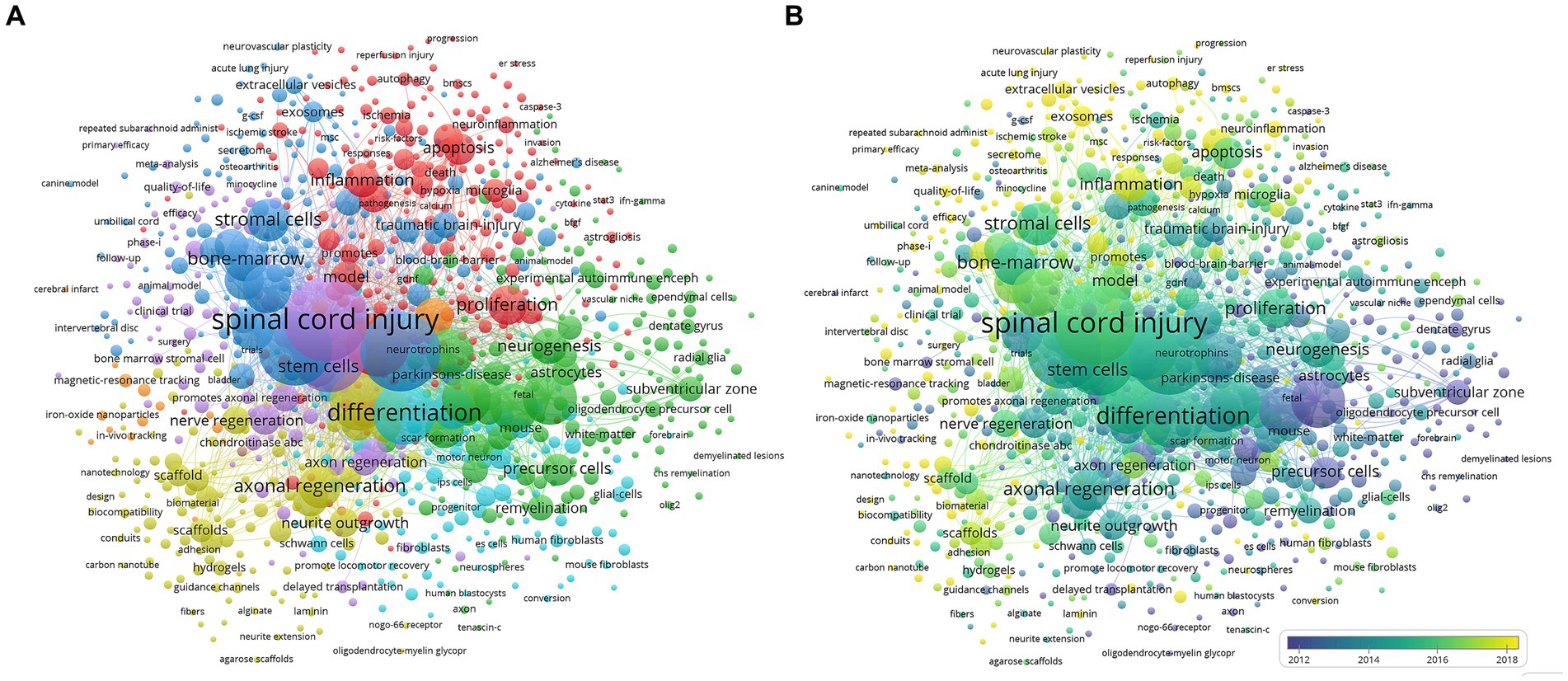 圖7：干細胞治療脊髓損傷研究的共現分析