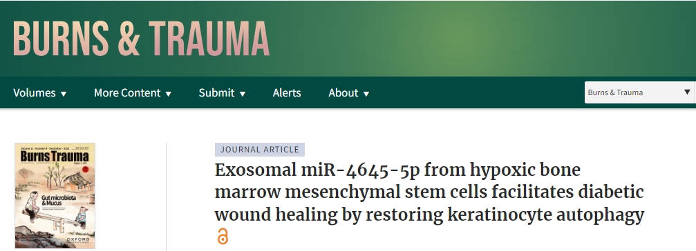 我國(guó)研究人員開創(chuàng)了用于糖尿病傷口愈合的新型干細(xì)胞療法 我國(guó)研究人員開創(chuàng)了用于糖尿病傷口愈合的新型干細(xì)胞療法