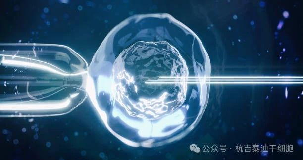 干細(xì)胞療法如何減緩肺部疾病的癥狀? 干細(xì)胞療法如何減緩肺部疾病的癥狀?