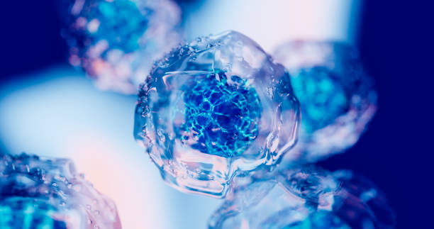 2024年重磅更新：藥監局公布間充質干細胞新藥，適應治療的46種疾病名單！