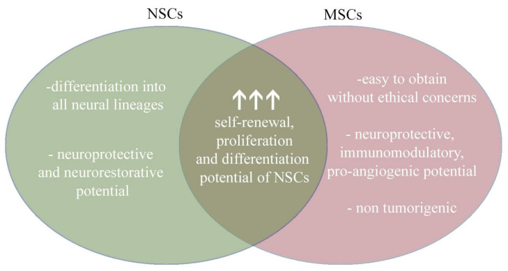 圖4：將神經(jīng)干細胞和間充質(zhì)干細胞的治療益處相結(jié)合，為治療提供了新的視角。