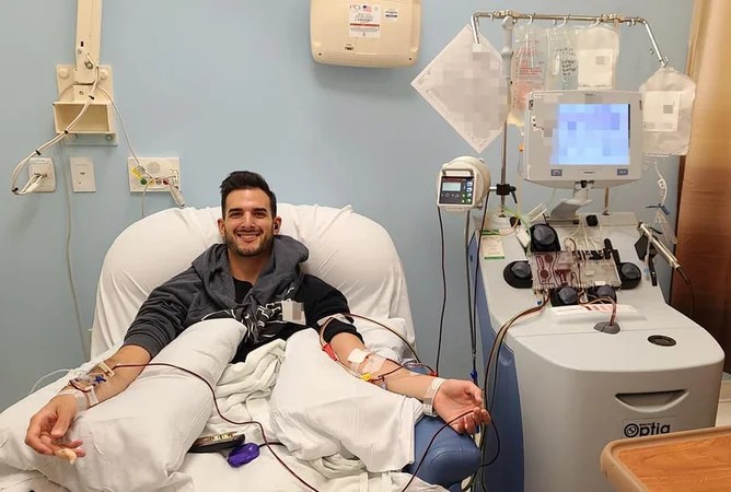 大多數(shù)干細胞是在哪里采集的？