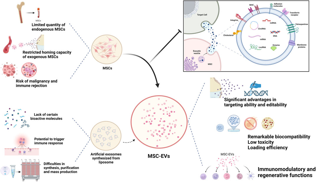 圖1：MSC-Exos作為藥物載體的生物學優勢。