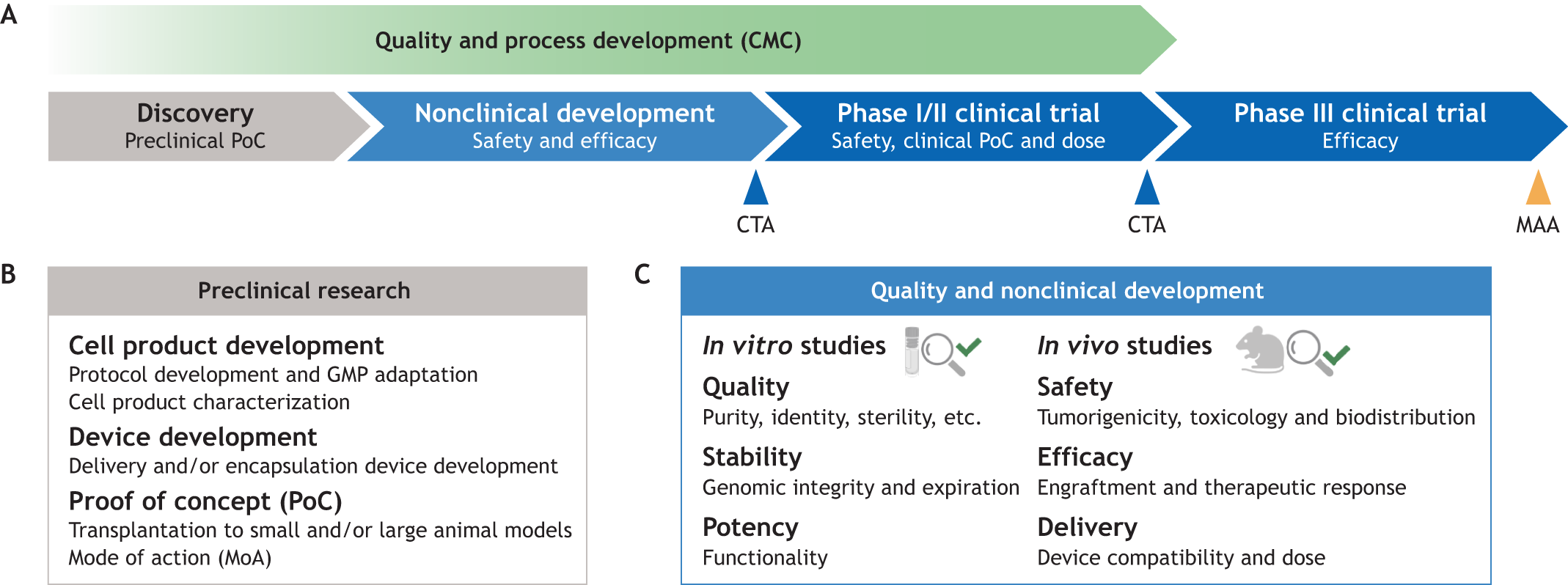 圖1：將細胞療法應(yīng)用于臨床的步驟。