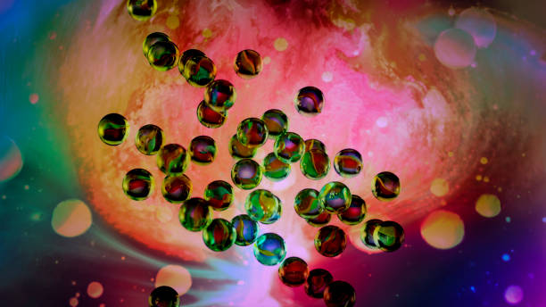 胚胎干細胞 胚胎干細胞