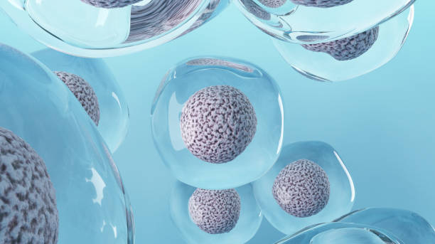 羊膜干細胞療法有效嗎？