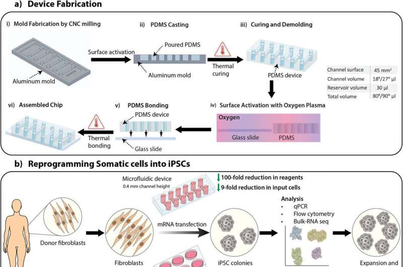 新設備改善了干細胞的生成，為阿爾茨海默氏癥細胞療法提供了機會