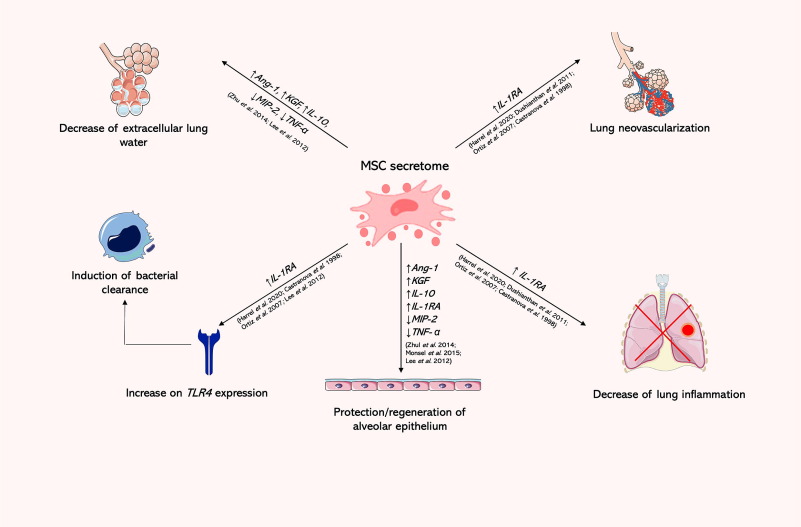 圖4:MSC分泌組在再生醫學中的應用 圖4:MSC分泌組在再生醫學中的應用