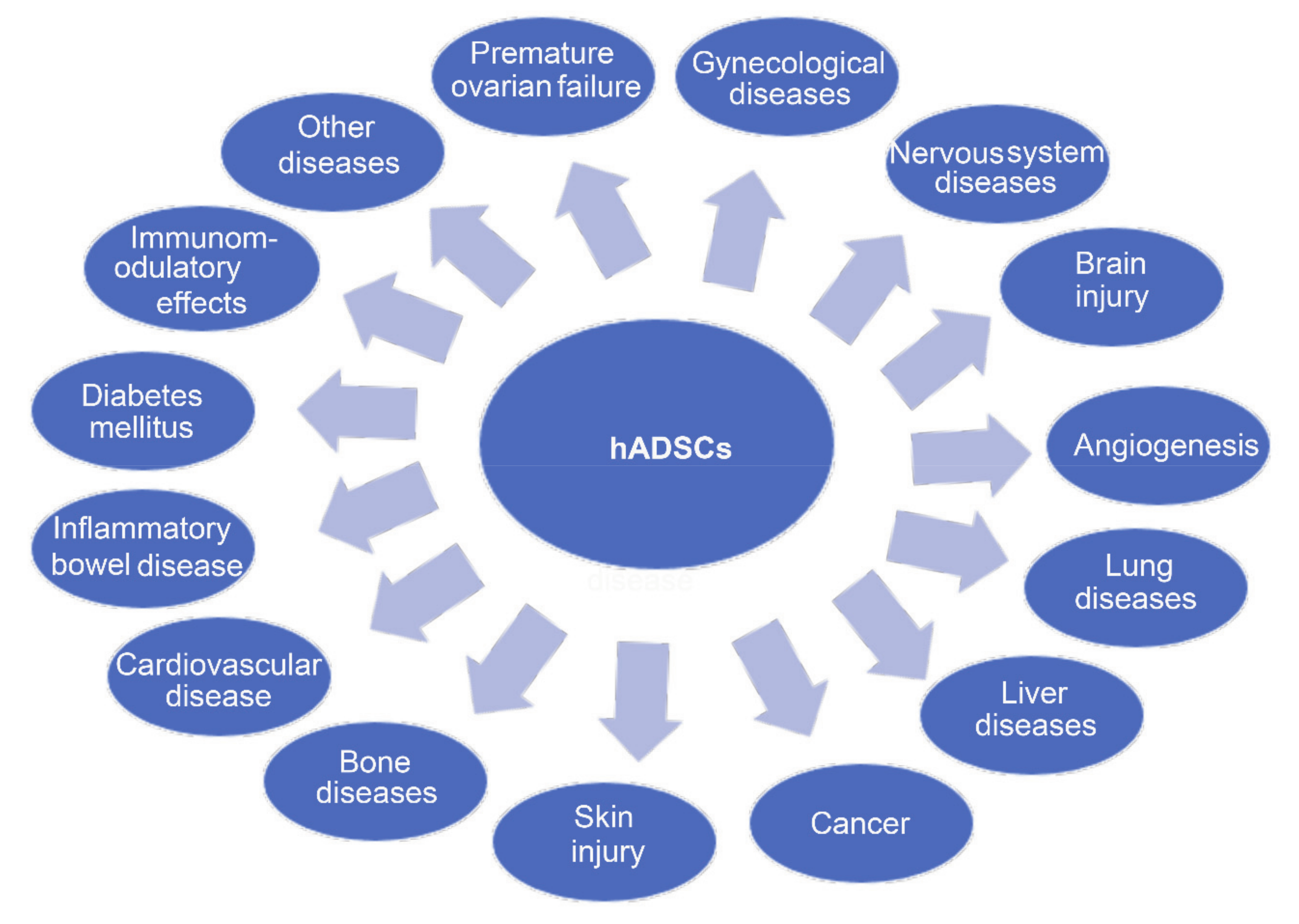 圖3.人羊膜來源干細胞治療疾病