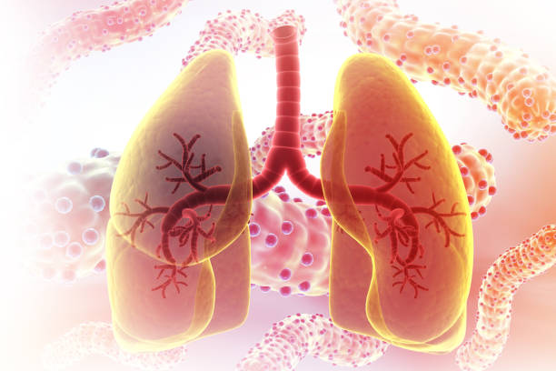 獲得國家藥監(jiān)局批準!廣州醫(yī)科大學附屬第一醫(yī)院正在開展人臍帶源間充質(zhì)干細胞注射液治療IPF臨床研究 獲得國家藥監(jiān)局批準!廣州醫(yī)科大學附屬第一醫(yī)院正在開展人臍帶源間充質(zhì)干細胞注射液治療IPF臨床研究