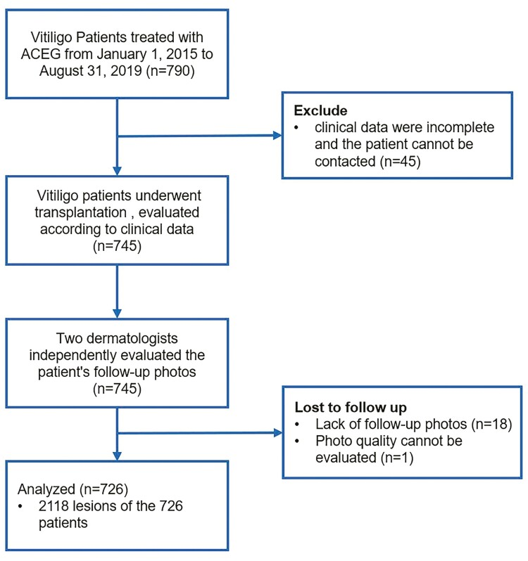 圖1:自體干細胞移植治療白癜風的流程圖 圖1:自體干細胞移植治療白癜風的流程圖