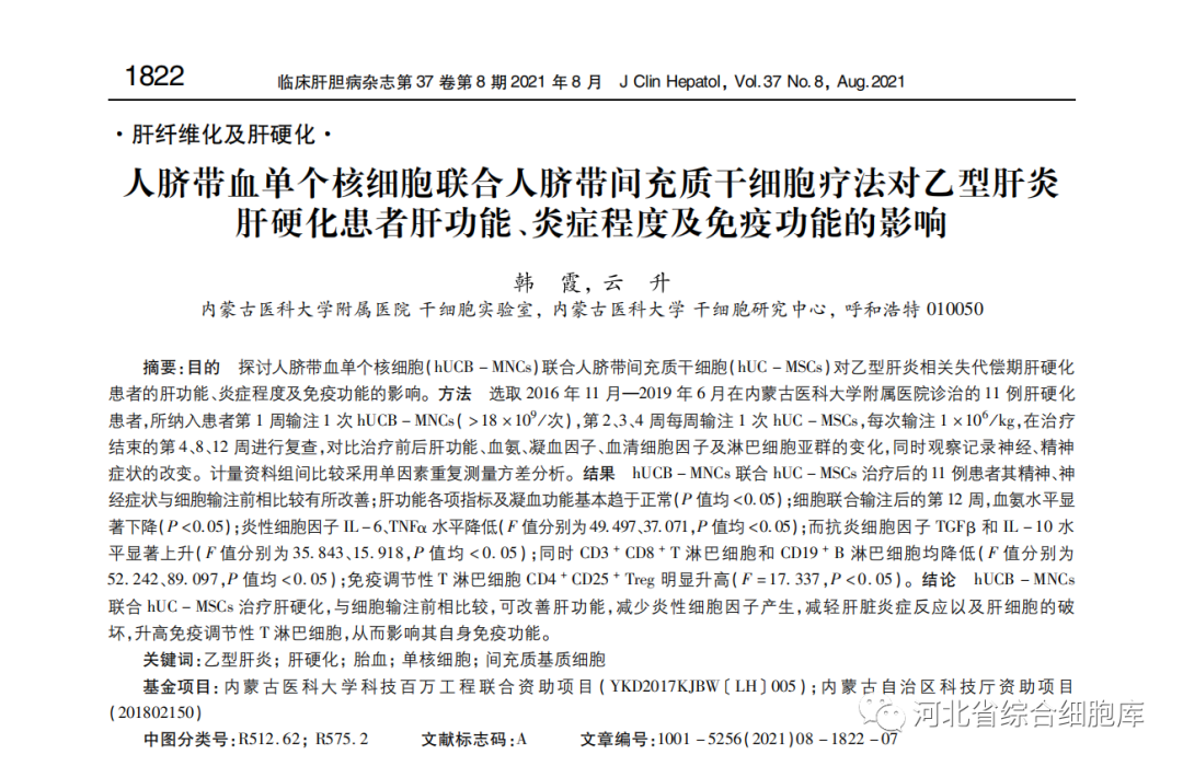 人臍帶血單個核細胞聯合人臍帶問充質干細胞療法對乙型肝炎肝硬化患者肝功能、炎癥程度及免疫功能的影響