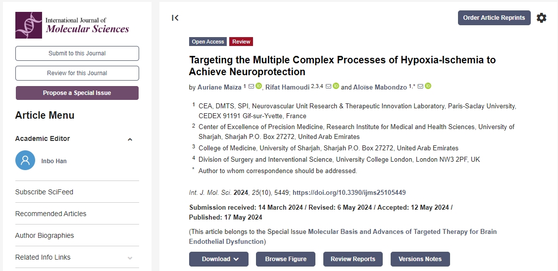 針對缺氧缺血的多個復雜過程實現(xiàn)神經(jīng)保護