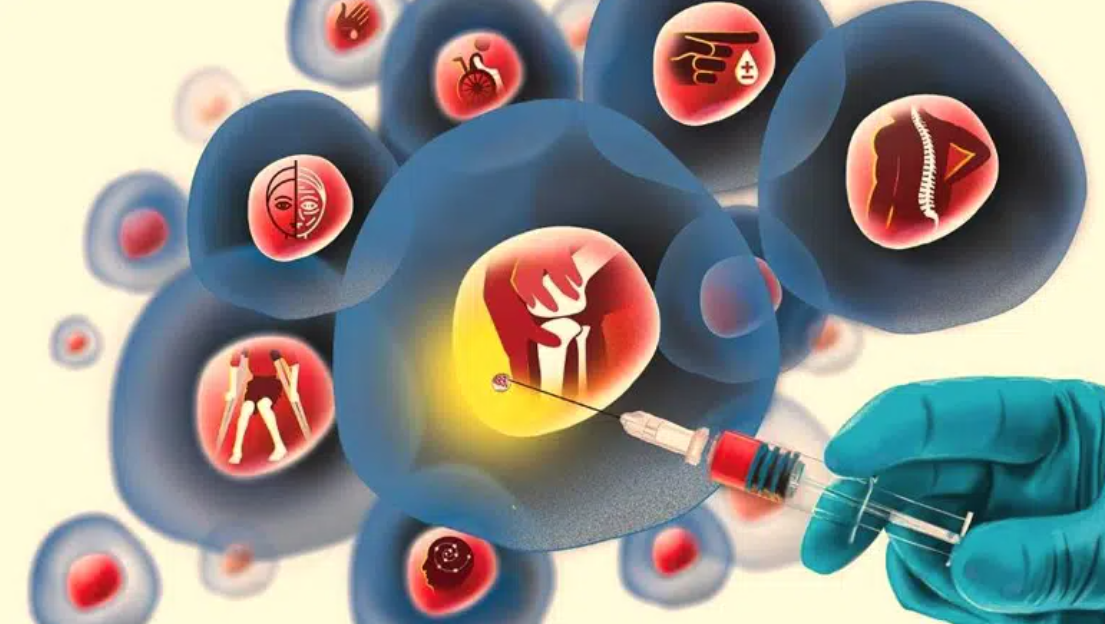 干細胞與再生醫學 干細胞與再生醫學