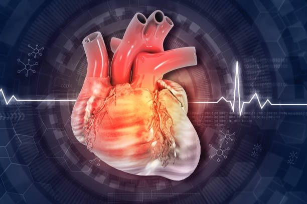 東方醫院團隊:人臍帶間充質干細胞治療心衰注射液進入臨床試驗 東方醫院團隊:人臍帶間充質干細胞治療心衰注射液進入臨床試驗