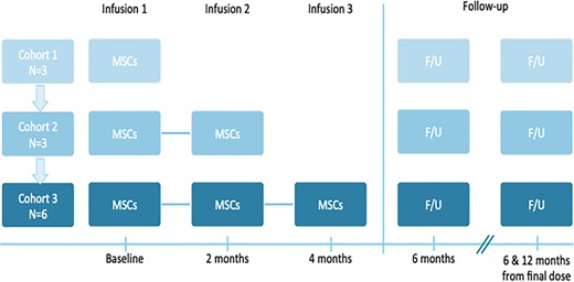 本研究是一項I期開放標簽劑量遞增試驗,研究對象為患有ASD的幼兒,靜脈輸注一次、兩次或三次hCT-MSC 本研究是一項I期開放標簽劑量遞增試驗,研究對象為患有ASD的幼兒,靜脈輸注一次、兩次或三次hCT-MSC