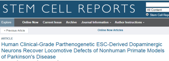 人類臨床級孤雌生殖 ESC 衍生的多巴胺能神經元可恢復非人類靈長類動物帕金森病模型的運動缺陷