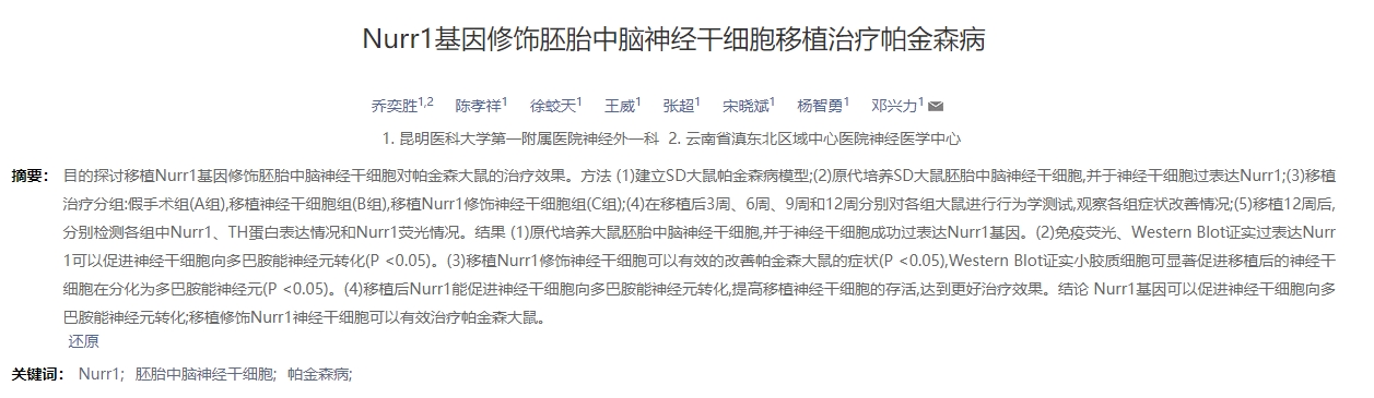 Nurr1基因修飾胚胎中腦神經干細胞移植治療帕金森病 Nurr1基因修飾胚胎中腦神經干細胞移植治療帕金森病